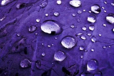 Purple Rain Shower By Mondkrater On DeviantArt