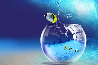 3d Nature Wallpapers For Desktop   Latest Wallpapers