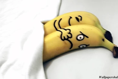 Free Download Love Comedy Wallpapers