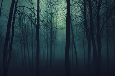 Android 960×800 wallpaper 1691