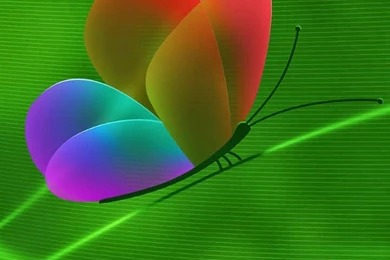 720x1280 Android Wallpapers For Mobile Phone