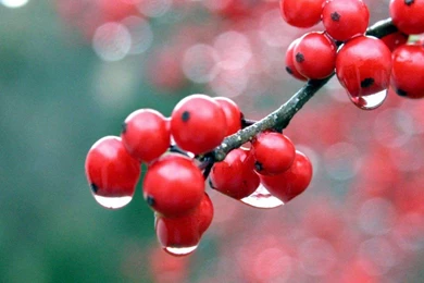 Hd 3d Wallpapers For Android Mobile (9)   HD Beautiful Desktop ...