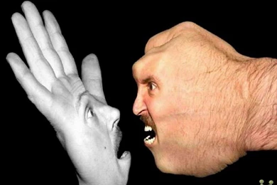 Superb Beautiful Amazing Very Funny HD Desktop Wallpapers – HD ...