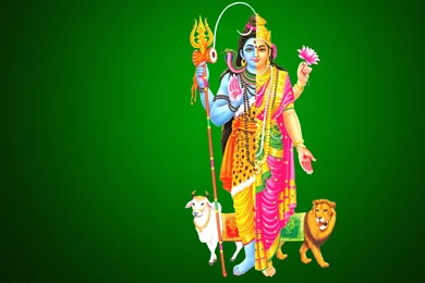 Lord Shiva Parvati Beautiful Wallpapers