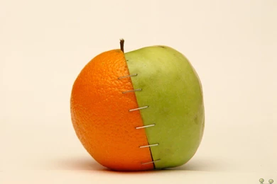 Amazing Pictures: Amazing Fruit Funny Wallpapers Picture