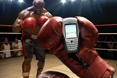 Amazing Pictures: Amazing Cute Most Funny HD Wallpapers