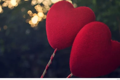 Lonely Love Wallpaper Images