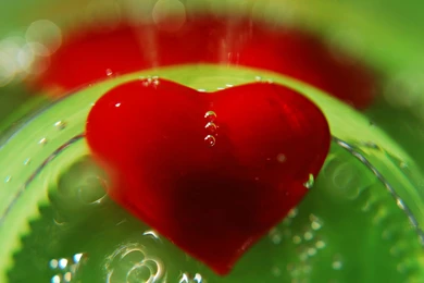 Love Heart Wallpapers   659547