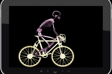 X ray Wallpapers   Android Apps And Tests   AndroidPIT