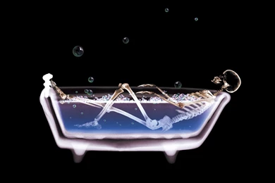 Dark Horror Skeleton Skull X ray Wallpapers