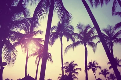 Pretty Wallpapers Tumblr K6P   Savewallpaper.com