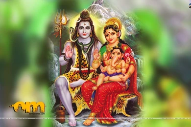 YohYoh.com Showcase Online And Promote