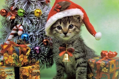 Christmas Wallpapers For Mobile   Widescreen HD Wallpapers