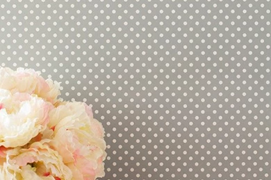 Removable Wallpapers By Chasing Paper