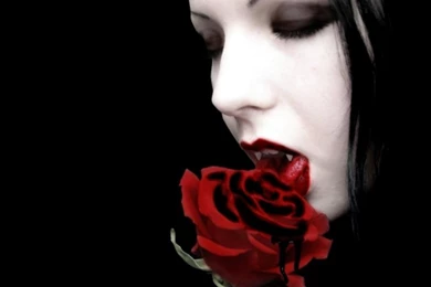 Gothic Wallpapers 3   Crazy Frankenstein