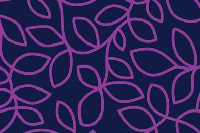 Free Iphone Wallpapers 308 Xe   WallpaperXe.com