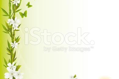 Spa Backgrounds Stock Vector Art 11523435   IStock
