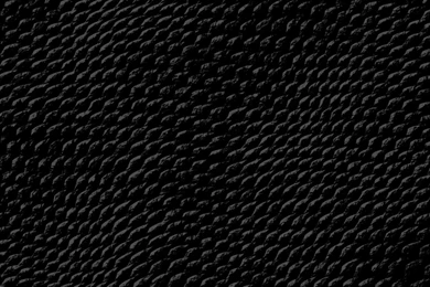 Snake Skin Wallpapers