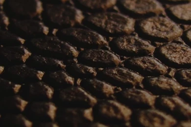 Snake Skin Crackle iPhone 5 Wallpapers (640x1136)