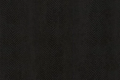 Justpict.com Black Snakeskin Wallpapers