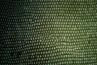 Meizu MX5 Wallpaper: Snakeskin Mobile Android Wallpapers