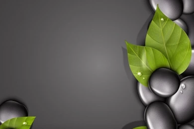 Spa Vectors, Photos And PSD Files