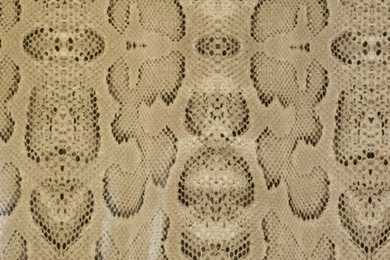 Tan & Black Faux Boa Snake Skin Wallpapers