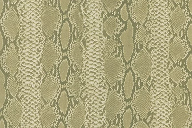 405 49406 Olive Snakeskin   Python   Brewster Wallpapers