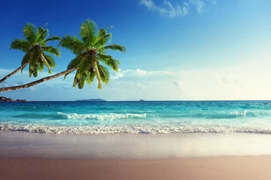 Ocean HD Live Wallpapers   Android Apps And Tests   AndroidPIT