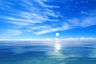 Blue Ocean Live Wallpapers   Android Apps And Tests   AndroidPIT