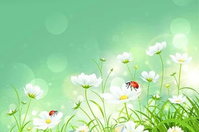 Spring Flowers Vector Backgrounds Design