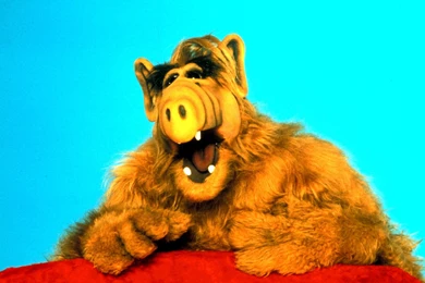 Alf