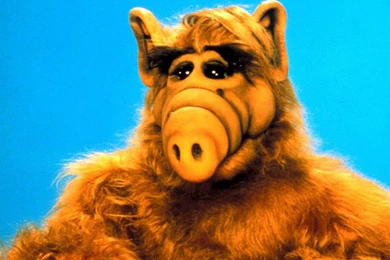 Alf Wallpapers   Wallpapers Cave
