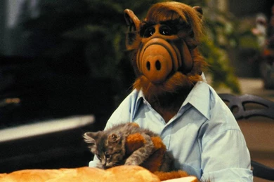 ALF   ALF Picture