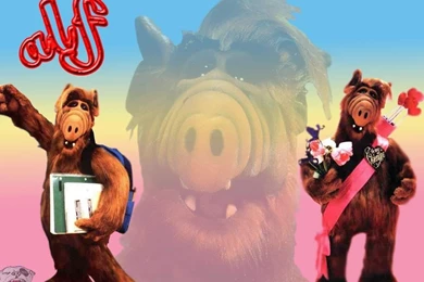 Wallpapers ALF Movies Image