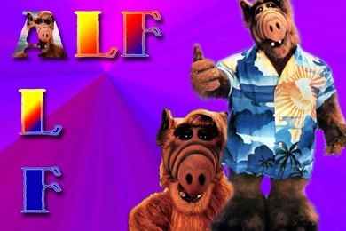 Wallpapers De Un Grande   Taringa!