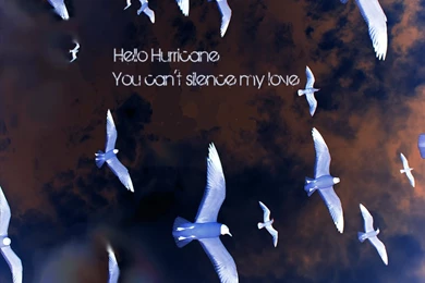 Wallpaper/Desktop   Page 5   Fan Art / Web Ring   The Official ...