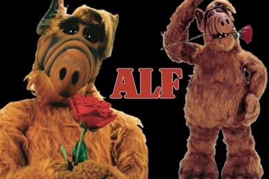 Signs Of The End Times Archives   GrouchyMuffin