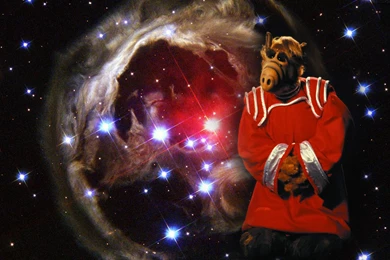 ALF TV Fan Forum (Message Board & Chat)