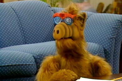 Alf Vom Melmac   Der Fernsehheld Unserer Jugend   MENIFY Männermagazin