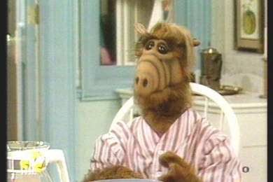 My Free Wallpapers   Movies Wallpapers : Alf