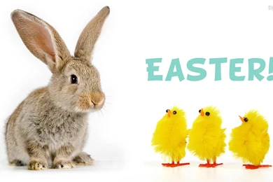 10 Easter Wallpapers Collection HD