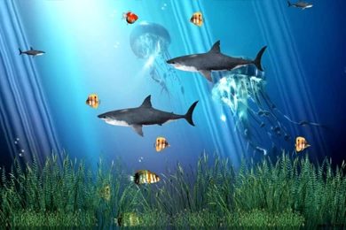 Animated Aquarium Desktop Backgrounds Windows 7