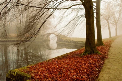 Abstract Hd Widescreen Wallpapers 1600x900 Iwallhd Wallpapers Hd ...