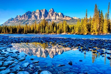 Gorgeous HD Wallpaper 3.jpg