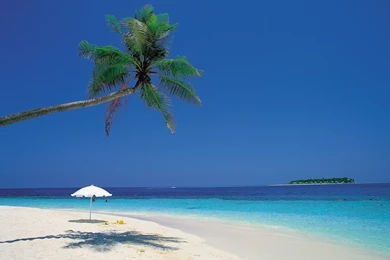 Free Caribbean Beach Wallpapers   Wallpapers Cave