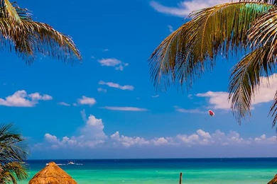 Justpict.com Caribbean Backgrounds Image