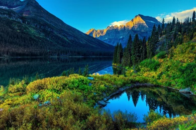 Free Superb Wallpapers Phone