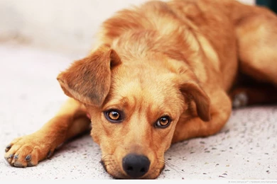 145 Mixed Superb Wallpapers   Web Design Blog Web Design Blog