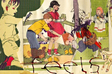 Download Animal Wallpapers 1920x1080